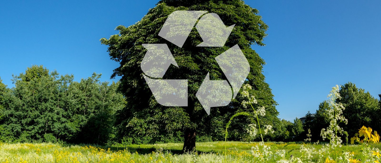 Das Recyclingsymbol auf einer grünen Landschaft