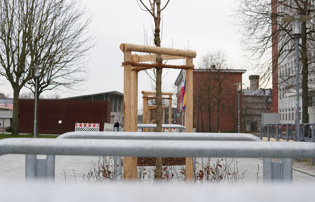 Baum mit Fahrradbügeln im Vordergrund